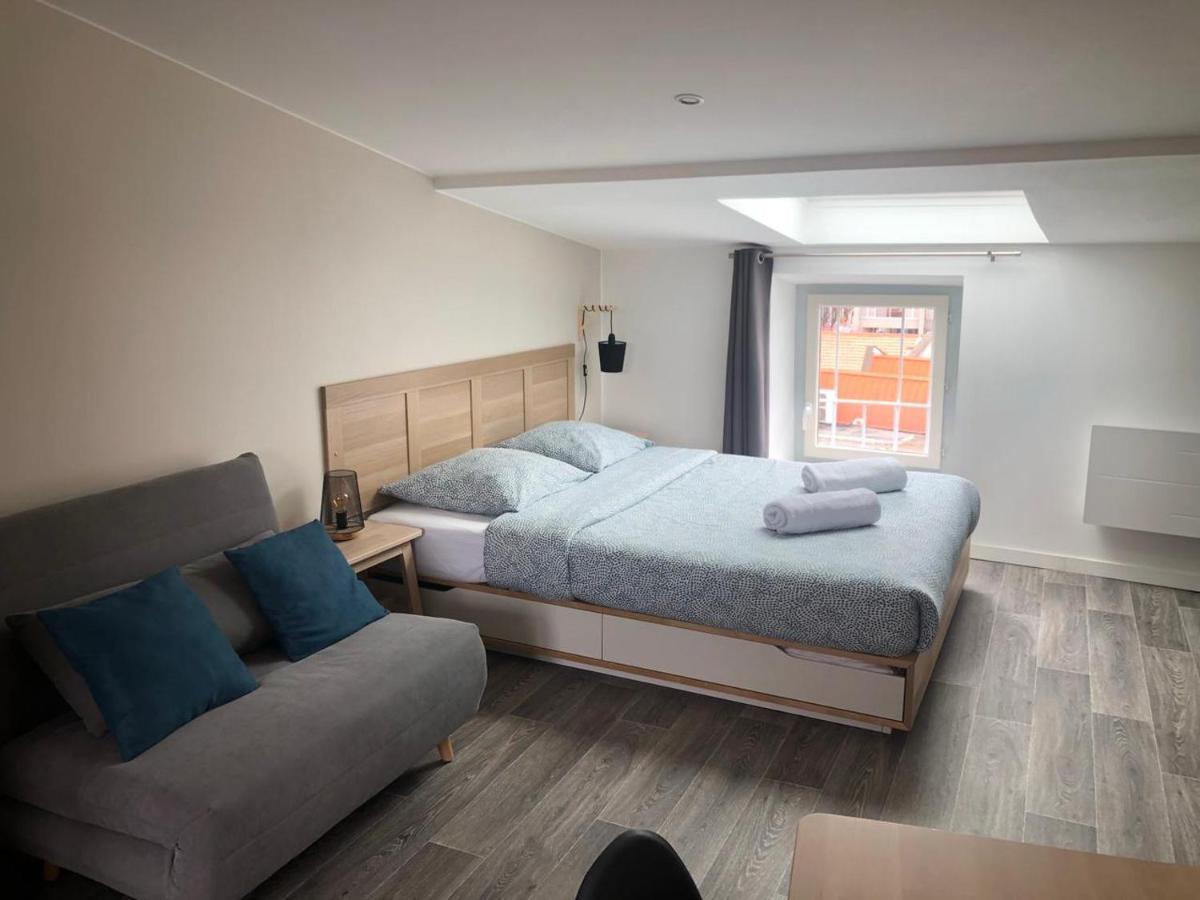 Jolis Appartements Au Coeur De Clermont Ferrand - Proche Jaude - Wifi Et Netflix Bagian luar foto