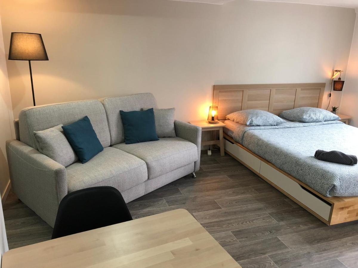 Jolis Appartements Au Coeur De Clermont Ferrand - Proche Jaude - Wifi Et Netflix Bagian luar foto